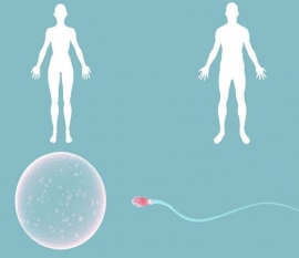 孕前检查的项目有哪些？