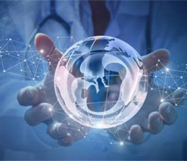 诺优能活力蓝罐与经典款的区别,哪一款更值得选?